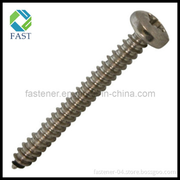 Phillips Pan Head Self Tapping Screw (DIN7981)
